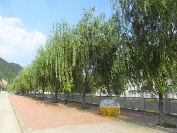 河滨大道
