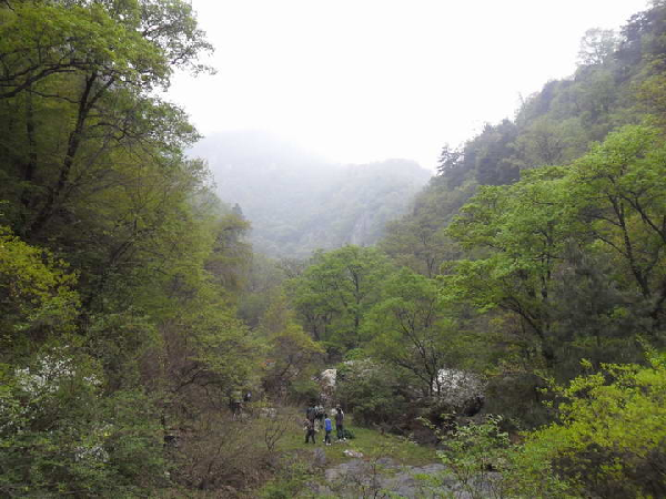 鹿鸣谷